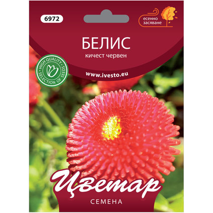 ЦВЕТАР БЕЛИС КИЧЕСТ ЧЕРВЕН ЦВЕТАР БЕЛИС КИЧЕСТ ЧЕРВЕН