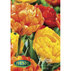 ЛУКОВИЦИ ЛАЛЕ 11/12 3Б DOUBLE ORANGE/YE ЛУКОВИЦИ ЛАЛЕ 11/12 3Б DOUBLE ORANGE/YE