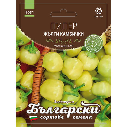 ЖЪЛТИ КАМБИЧКИ СЕМЕНА ЗА ЗЕЛЕНЧУЦИ БСС ЖЪЛТИ КАМБИЧКИ СЕМЕНА ЗА ЗЕЛЕНЧУЦИ БСС