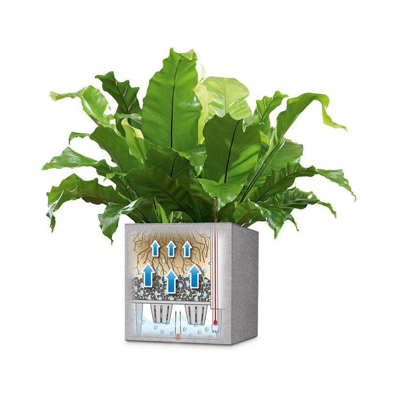 КАШПА НАП.С-МА CANTO 30X30X30СМ СИВ1370 КАШПА НАП.С-МА CANTO 30X30X30СМ СИВ1370