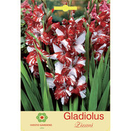 ЛУКОВИЦИ ГЛАДИОЛА ZIZANI IVESTO ЛУКОВИЦИ ГЛАДИОЛА ZIZANI IVESTO