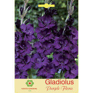 ЛУКОВИЦИ ГЛАДИОЛА PURPLE FLORA ЛУКОВИЦИ ГЛАДИОЛА PURPLE FLORA