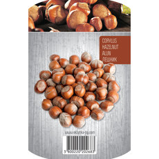 ЛЕШНИК ЛЕШНИК