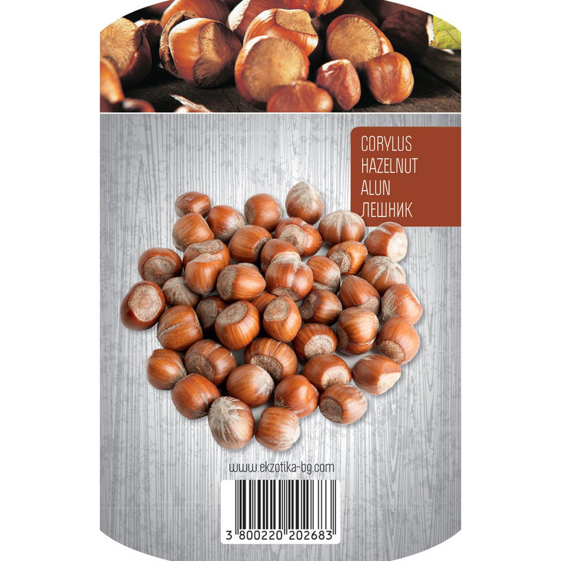 ЛЕШНИК ЛЕШНИК