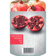 НАР EKZOTIKA НАР EKZOTIKA