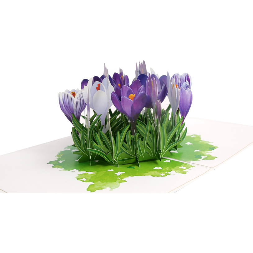 КАРТИЧКА POP-UP "МИНЗУХАРИ" КАРТИЧКА POP-UP "МИНЗУХАРИ"