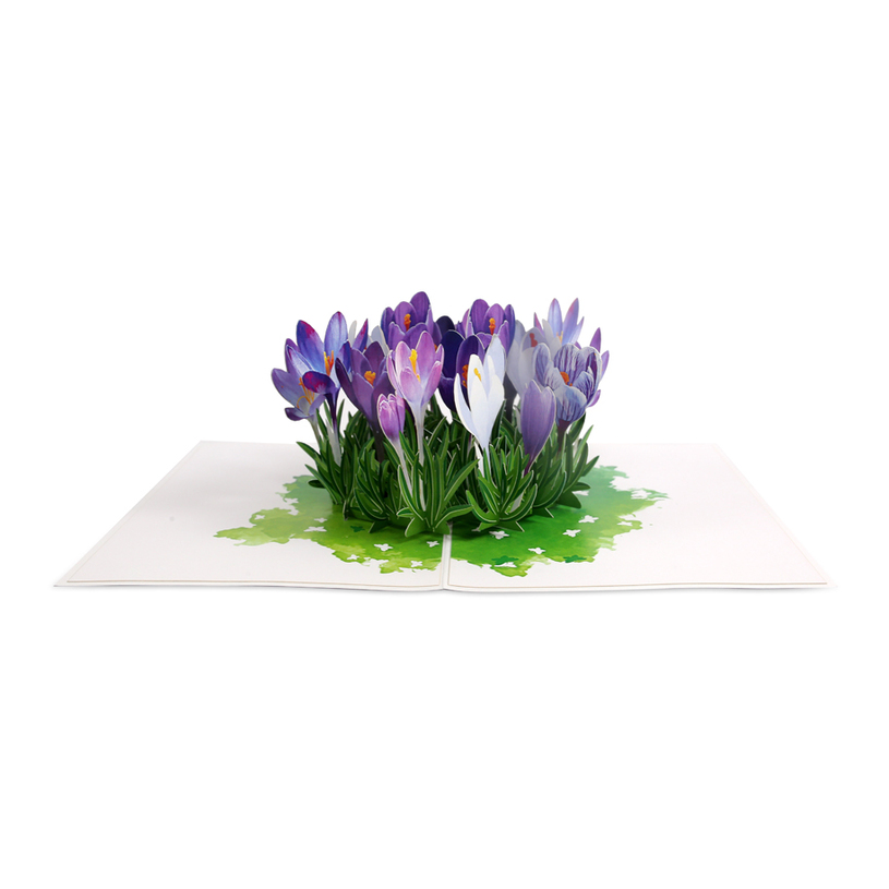 КАРТИЧКА POP-UP "МИНЗУХАРИ" КАРТИЧКА POP-UP "МИНЗУХАРИ"