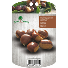 ЯДЛИВ КЕСТЕН 120/140CM EKZOTIKA ЯДЛИВ КЕСТЕН 120/140CM EKZOTIKA