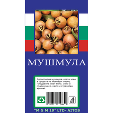 МУШМУЛА С ПАКЕТИРАН КОРЕН МУШМУЛА С ПАКЕТИРАН КОРЕН