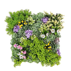 ДЕКОР ПЛОЧКИ ИЗК ОЗЕЛЕН 50x50cm сукулент ДЕКОР ПЛОЧКИ ИЗК ОЗЕЛЕН 50x50cm сукулент