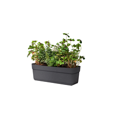 ПЛАСТМАСОВО САНДЪЧЕ BLOSSOM 50 ASH ПЛАСТМАСОВО САНДЪЧЕ BLOSSOM 50 ASH