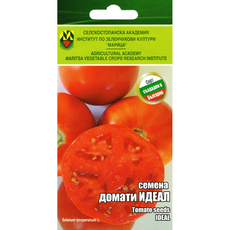 СЕМЕНА ДОМАТ ИДЕАЛ ИЗК МАРИЦА СЕМЕНА ДОМАТ ИДЕАЛ ИЗК МАРИЦА