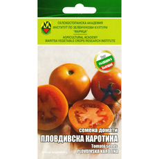 СЕМЕНА ДОМАТ ПЛОВДИВСКА КАРОТИНА ИЗК МАРИЦА СЕМЕНА ДОМАТ ПЛОВДИВСКА КАРОТИНА ИЗК МАРИЦА