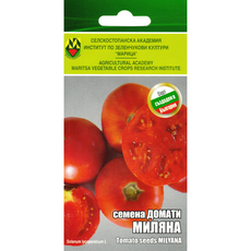 СЕМАНА ДОМАТ МИЛЯНА ИЗК МАРИЦА СЕМАНА ДОМАТ МИЛЯНА ИЗК МАРИЦА