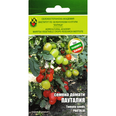 СЕМЕНА ДОМАТ ПАУТАЛИЯ ИЗК МАРИЦА СЕМЕНА ДОМАТ ПАУТАЛИЯ ИЗК МАРИЦА