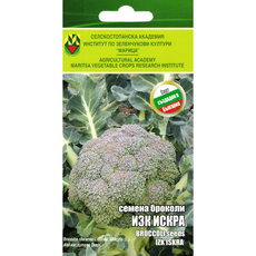 СЕМЕНА БРОКОЛИ ИСКРА ИЗК МАРИЦА СЕМЕНА БРОКОЛИ ИСКРА ИЗК МАРИЦА