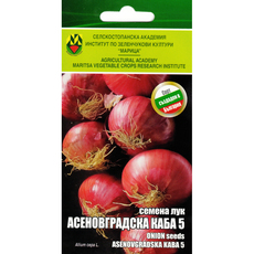 СЕМЕНА ЛУК АСЕНОВГРАДСКА КАБА ИЗК МАРИЦА СЕМЕНА ЛУК АСЕНОВГРАДСКА КАБА ИЗК МАРИЦА