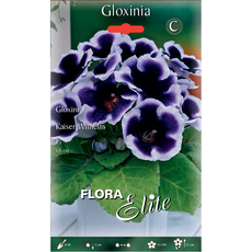 ЛУКОВИЦИ ГЛОКСИНИЯ KAISER WILHELM 1БР ЛУКОВИЦИ ГЛОКСИНИЯ KAISER WILHELM 1БР