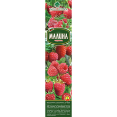 КОРЕН МАЛИНА В КУТИЯ КОРЕН МАЛИНА В КУТИЯ