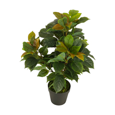 ИЗКУСТВЕНО РАСТЕНИЕ ФИКУС 65CM ИЗКУСТВЕНО РАСТЕНИЕ ФИКУС 65CM