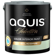 БОЯ СЪС СИЛИКОН ПРОЛЕТНО ПОЛЕ 2.5 L БОЯ СЪС СИЛИКОН ПРОЛЕТНО ПОЛЕ 2.5 L