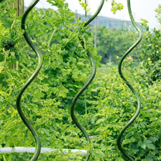 СПИРАЛОВИДНО СТОМ КОЛЧЕ РАСТЕНИЯ 1.50M СПИРАЛОВИДНО СТОМ КОЛЧЕ РАСТЕНИЯ 1.50M