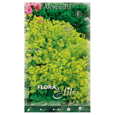 SPRING BULBS МЕКОЛИСТНО ШАПИЧЕ ELITE SPRING BULBS МЕКОЛИСТНО ШАПИЧЕ ELITE