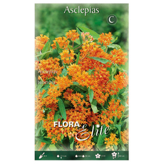 SPRING BULBS ASCLEPIAS TUBEROSA ELITE SPRING BULBS ASCLEPIAS TUBEROSA ELITE