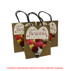 ЛУКОВИЦИ БЕГОНИЯ I LOVE ЛУКОВИЦИ БЕГОНИЯ I LOVE
