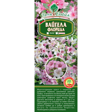 WEIGELA FLORIDA EKZOTIKA WEIGELA FLORIDA EKZOTIKA