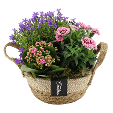 ТРИО АРАНЖИРОВКА ПРОЛЕТ Ф21CM H:25CM ТРИО АРАНЖИРОВКА ПРОЛЕТ Ф21CM H:25CM