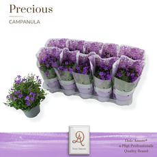 КАМПАНУЛА Ф12CM H:22CM BLUE КАМПАНУЛА Ф12CM H:22CM BLUE