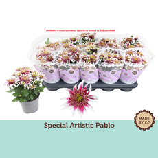 ХРИЗАНТЕМА SPECIAL ARTISTIC PABLO Ф12CM ХРИЗАНТЕМА SPECIAL ARTISTIC PABLO Ф12CM