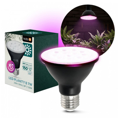 LED крушка раст. PLANTY B E27 7W 1200K LED крушка раст. PLANTY B E27 7W 1200K