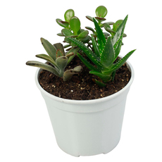 АРАНЖИРОВКА Ф14CM АРАНЖИРОВКА Ф14CM