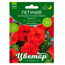 ЦВЕТАР Петуния многоцв. нискостеб.Марика ЦВЕТАР Петуния многоцв. нискостеб.Марика