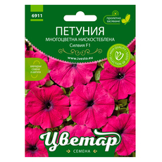 ХИБРИДНИ ПЕЛЕТИРАНИ СЕМЕНА ПЕТУНИЯ МНОГОЦВЕТНА СИЛВИЯ ЦВЕТАР ХИБРИДНИ ПЕЛЕТИРАНИ СЕМЕНА ПЕТУНИЯ МНОГОЦВЕТНА СИЛВИЯ ЦВЕТАР