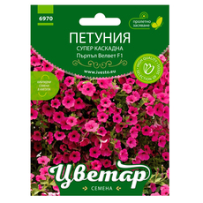 ХИБРИДНИ ПЕЛЕТИРАНИ СЕМЕНА ПЕТУНИЯ КАСКАДНА ПЪРПЪЛ ВЕЛВЕТ ЦВЕТАР ХИБРИДНИ ПЕЛЕТИРАНИ СЕМЕНА ПЕТУНИЯ КАСКАДНА ПЪРПЪЛ ВЕЛВЕТ ЦВЕТАР