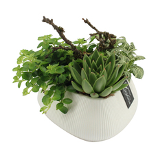 ЛЯТНА АРАНЖИРОВКА 2518 Ф24CM H:25CM ЛЯТНА АРАНЖИРОВКА 2518 Ф24CM H:25CM