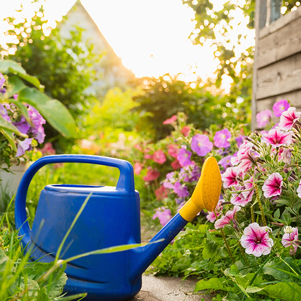 Лейки Лейки