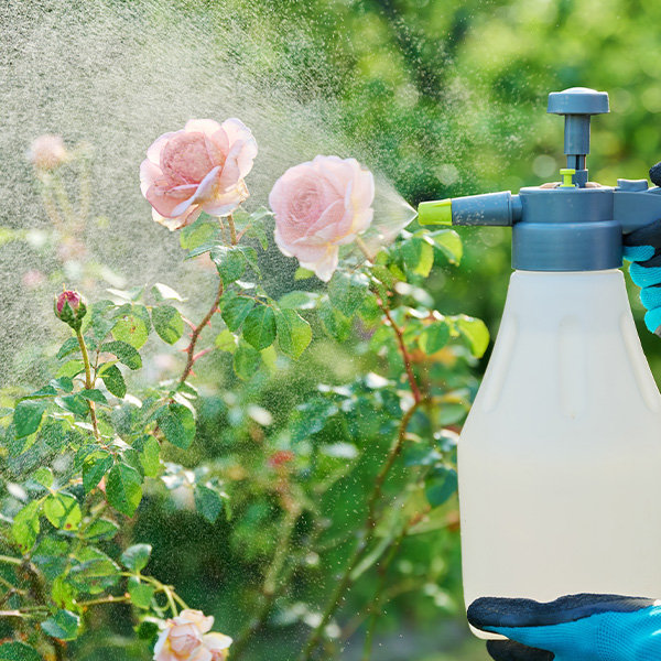 Пулверизатори Пулверизатори