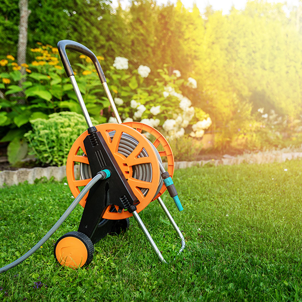 Макари и колички Макари и колички