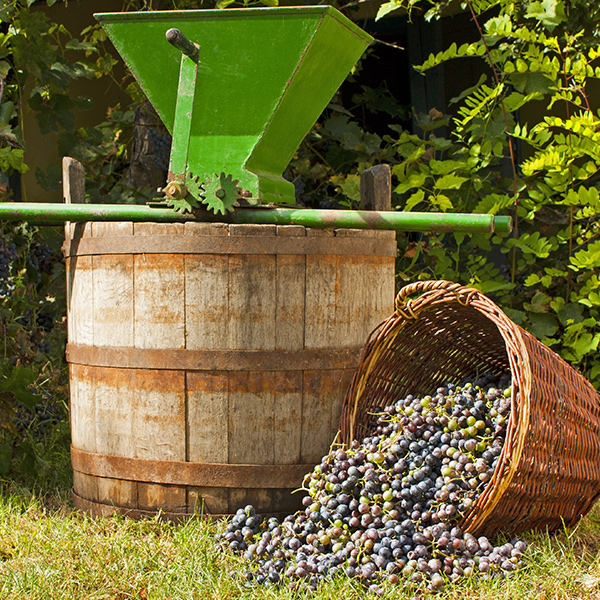 Winemaking