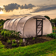 Greenhouses and seedling accessories