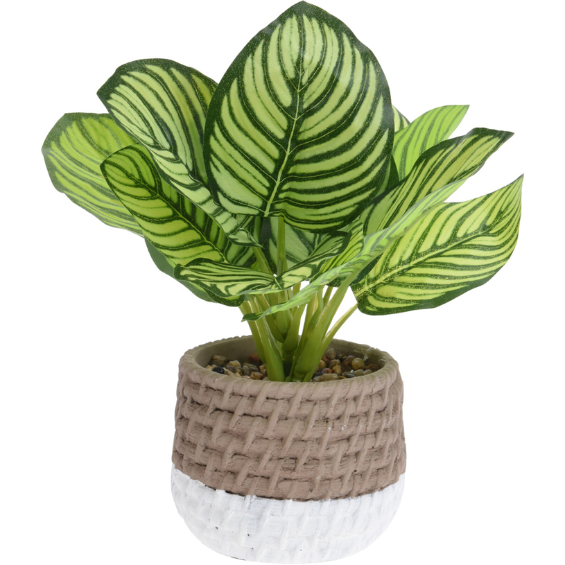 ИЗКУСТВЕНО РАСТЕНИЕ 28cm ИЗКУСТВЕНО РАСТЕНИЕ 28cm