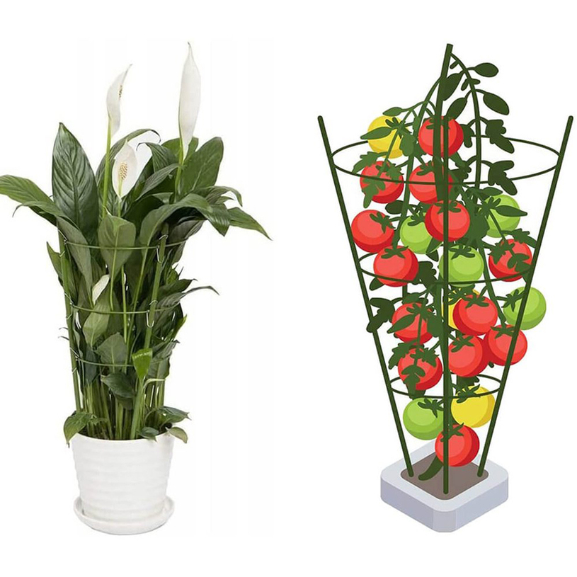 Опора за растения с четири пръстени, вис Опора за растения с четири пръстени, вис