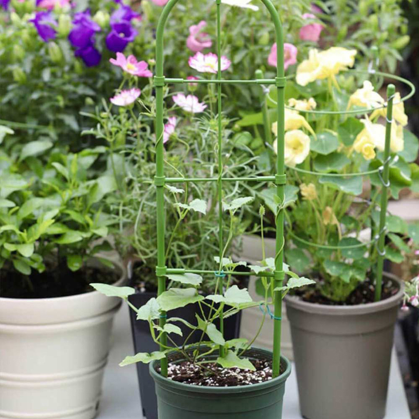 Опора за растения, стълбичка 60 см Опора за растения, стълбичка 60 см