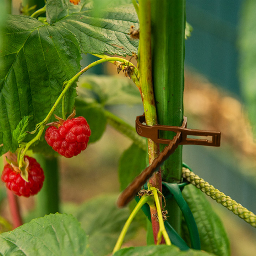 Връзки за растения 170mm x 50 бр. кафяви Връзки за растения 170mm x 50 бр. кафяви