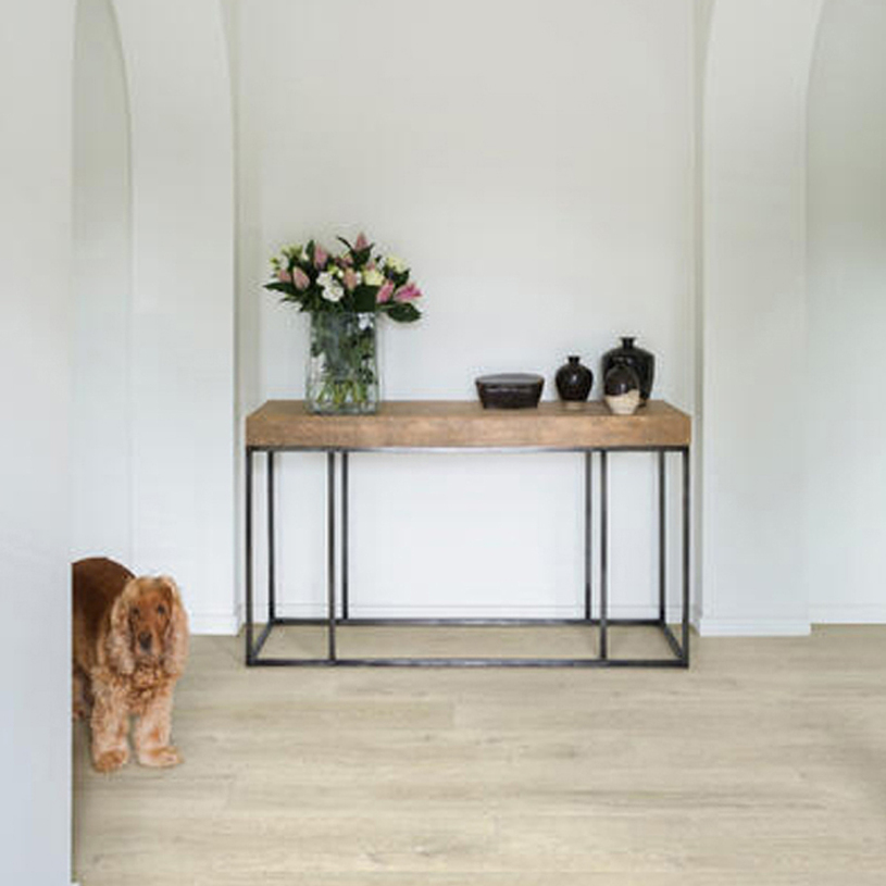 #SPC SOFT COSMOS 30 ДЪБ СОФИЯ 3.37 M2^ #SPC SOFT COSMOS 30 ДЪБ СОФИЯ 3.37 M2^