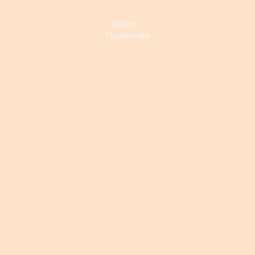 LEKO СРЕБЪРНИ ЙОНИ ПРАСКОВА 2.5 L LEKO СРЕБЪРНИ ЙОНИ ПРАСКОВА 2.5 L